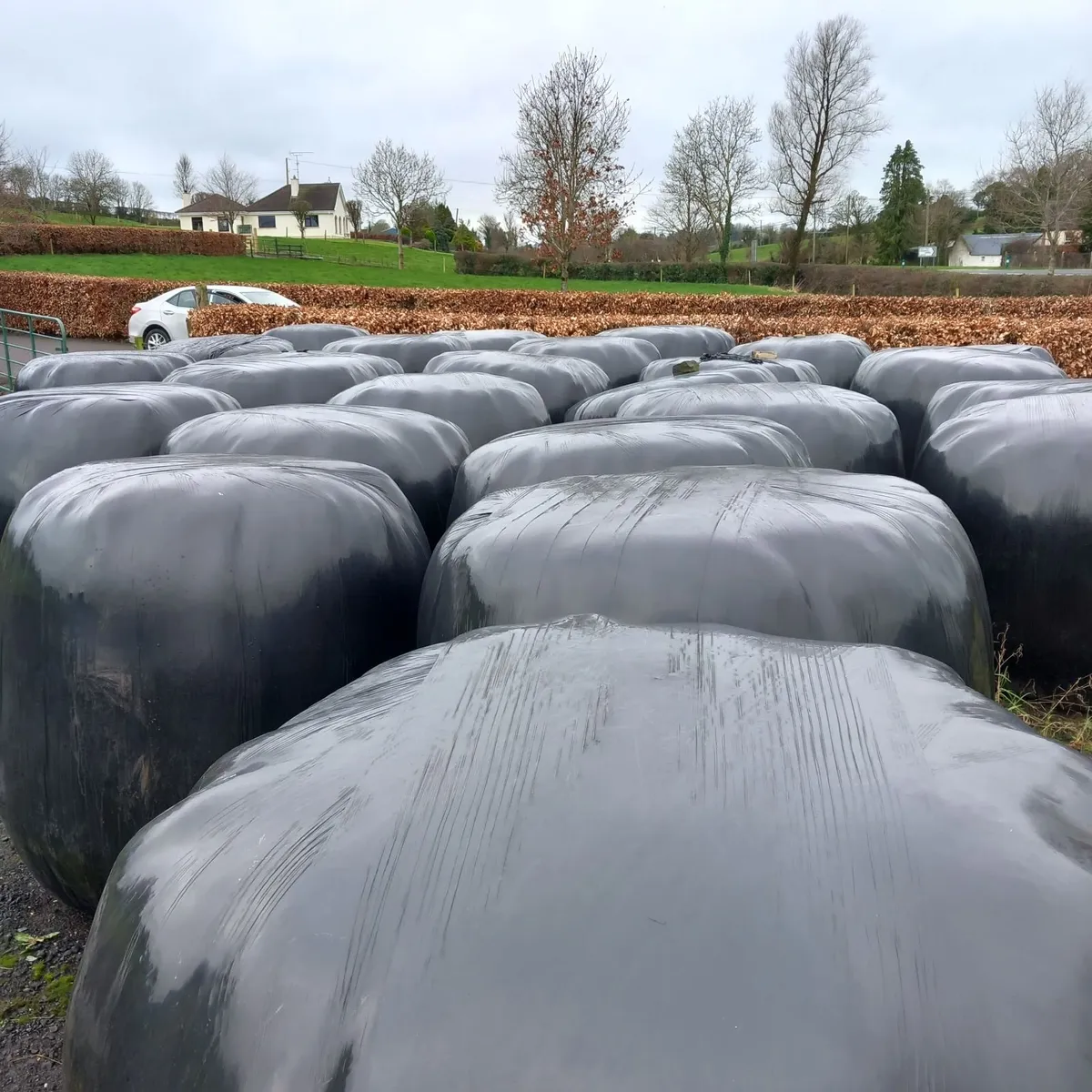 60 Round Bales of Silage
