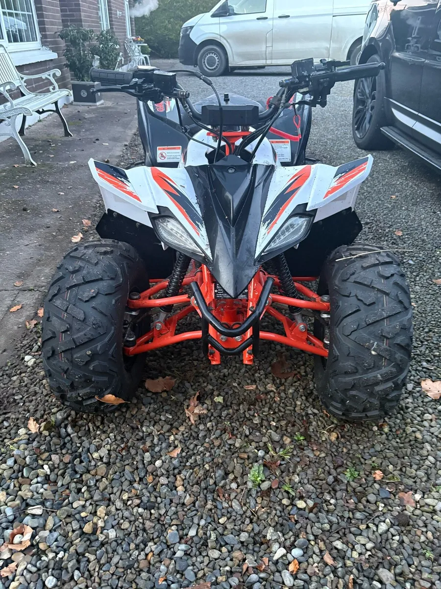 Quad bikes - Image 4