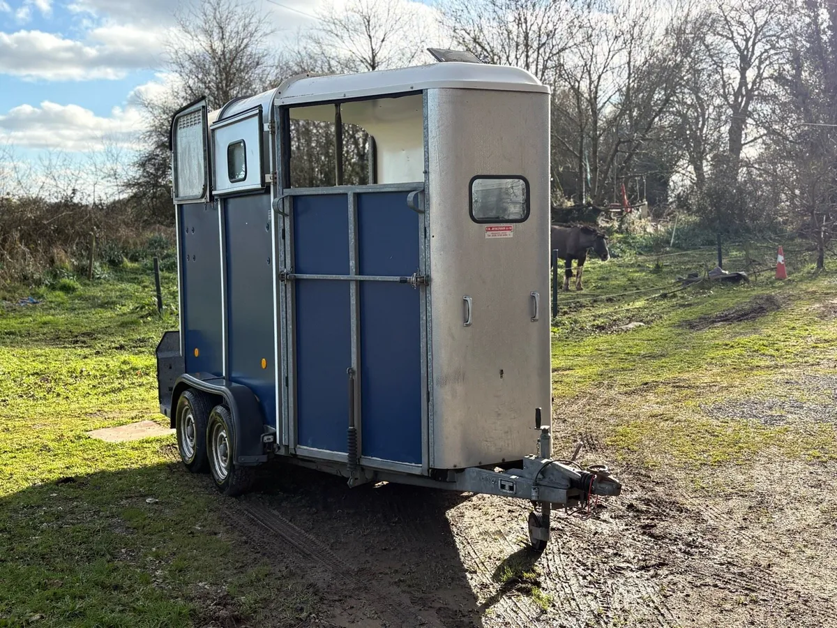 505 horse box for sale - Image 4