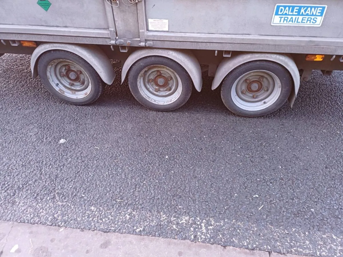 DALE KANE 14FT - Image 2