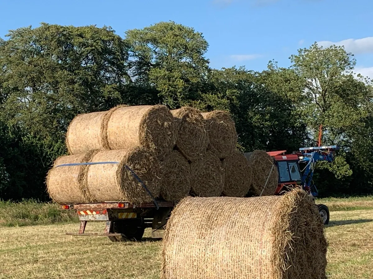June Hay (30 bales available) - Image 1