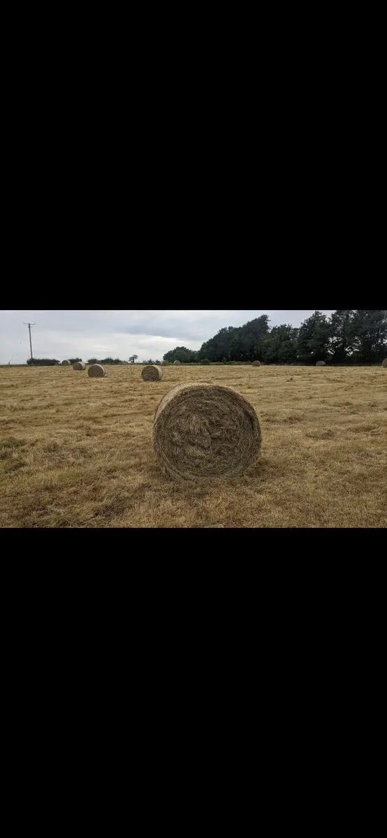 Hay for sale