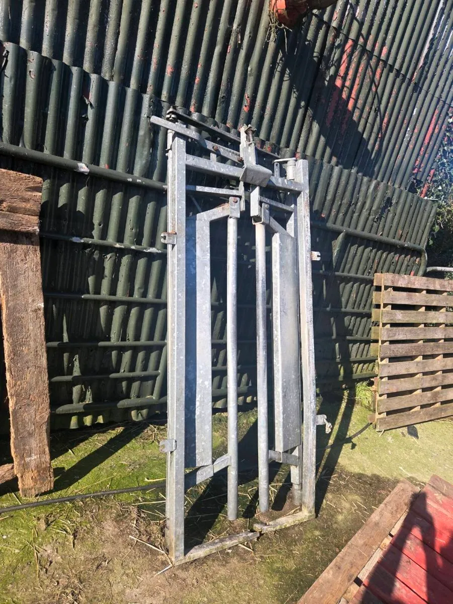 Automatic crush gate *for sale in Co. Wexford* - Image 2