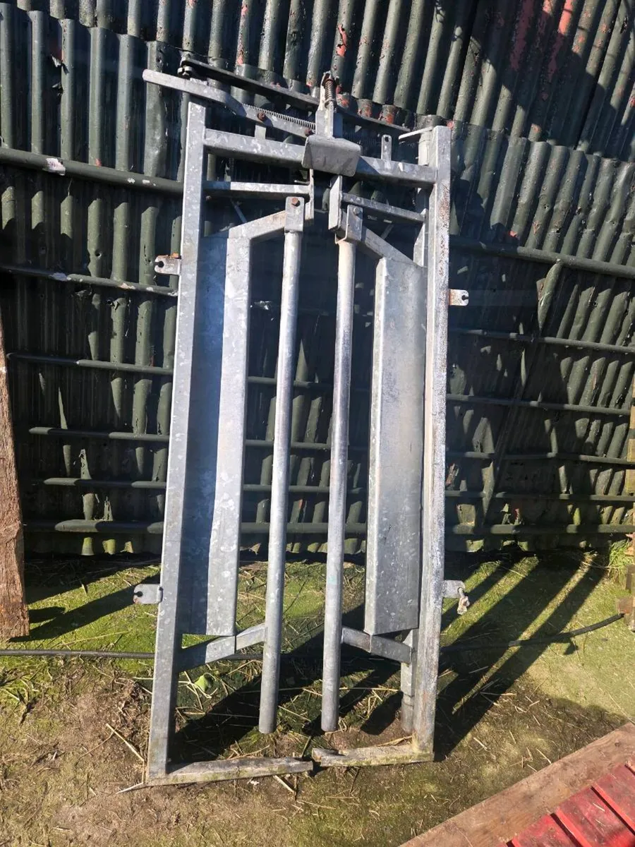 Automatic crush gate *for sale in Co. Wexford* - Image 1