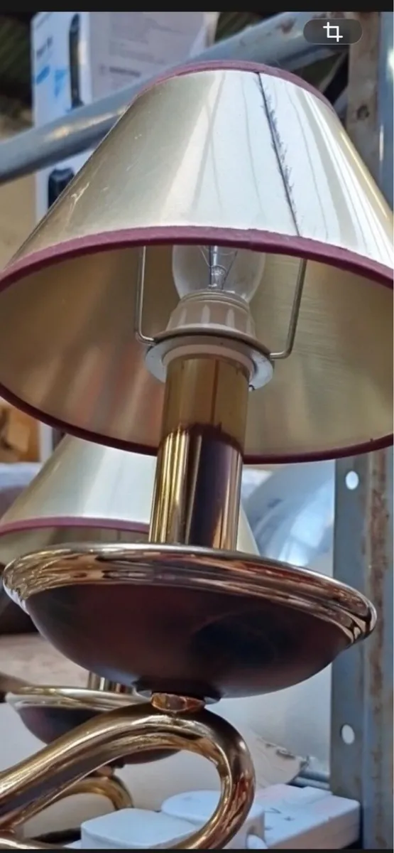 Stunning Centre Light Fitting - Image 3