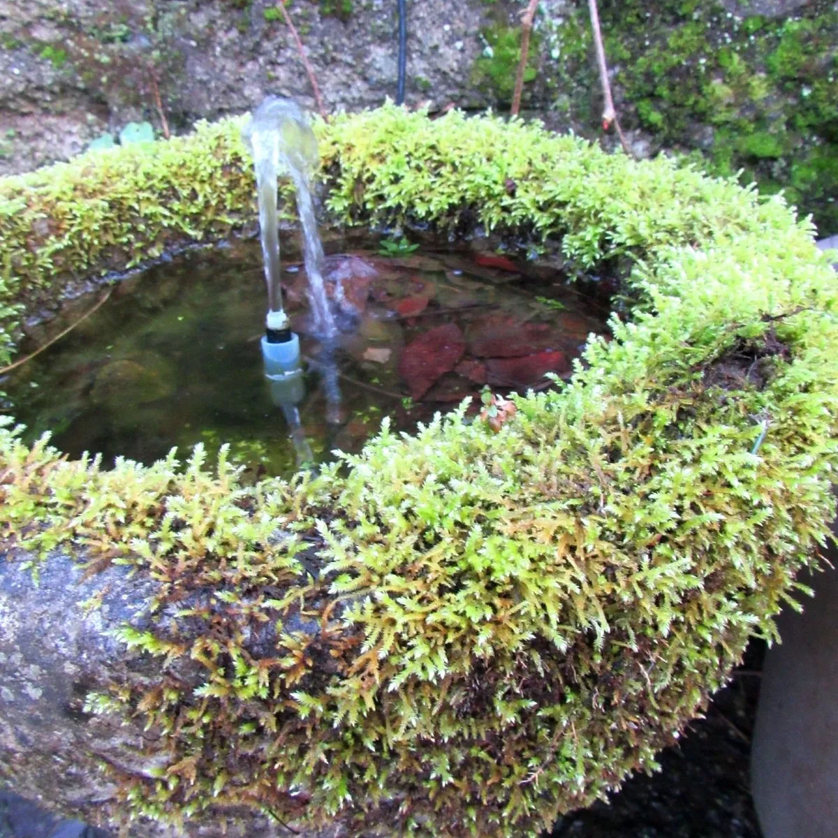 Garden Water Feature Fountain – Solid Stone Bowl - Image 3