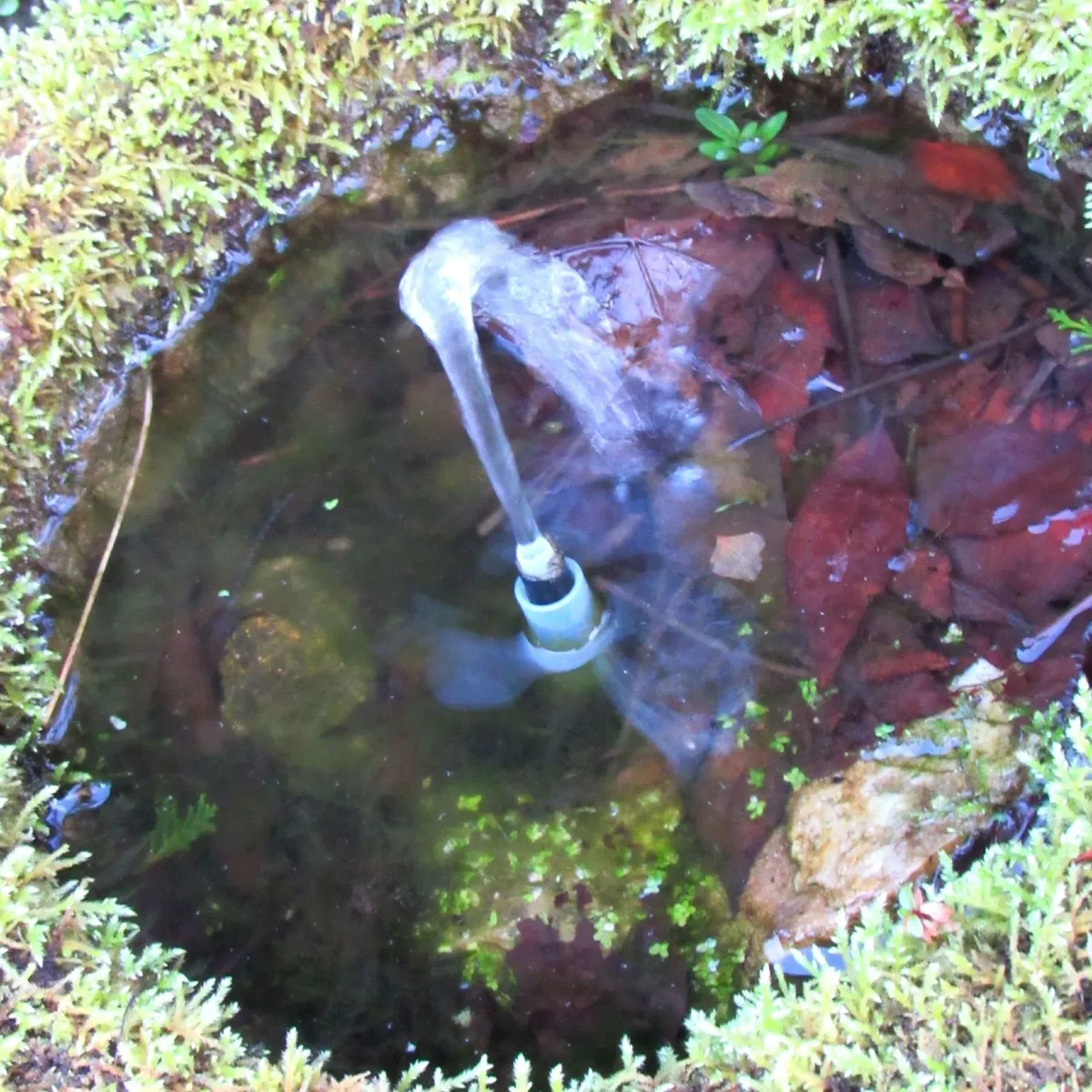 Garden Water Feature Fountain – Solid Stone Bowl - Image 4