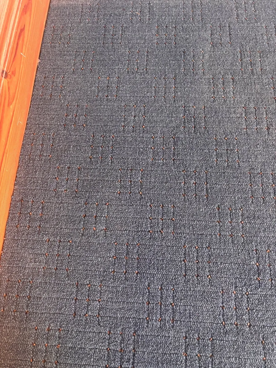 Carpet - Image 2