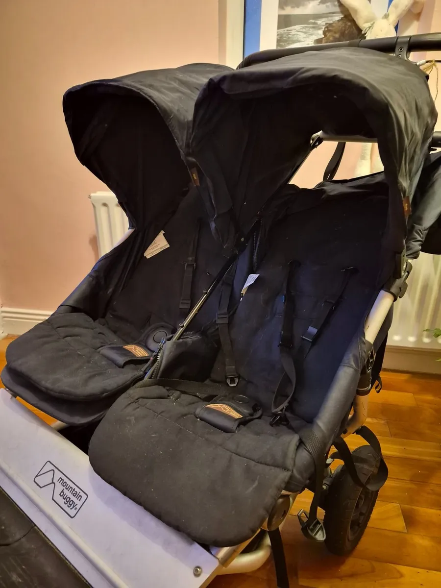 Double Pram - Image 2
