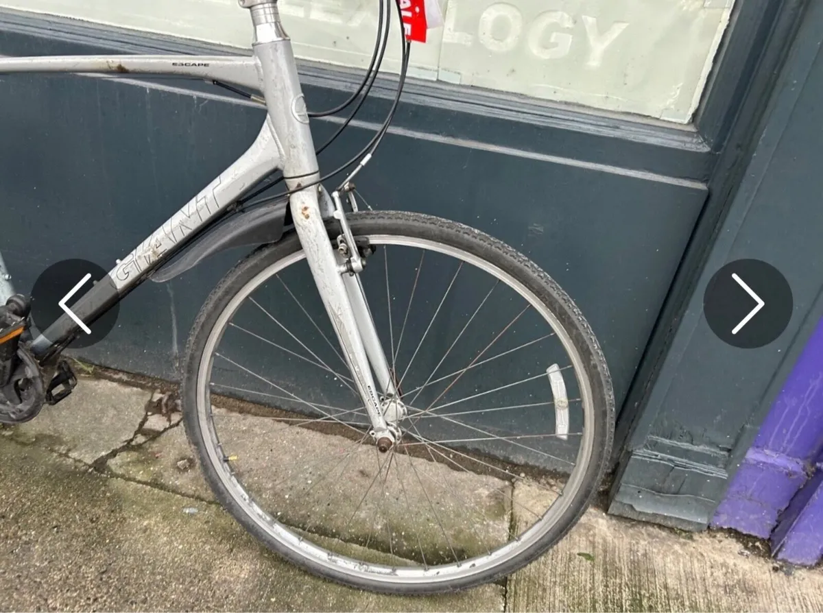 Giant Escape ❗️Open 7 days of the week ❗️ - Image 3