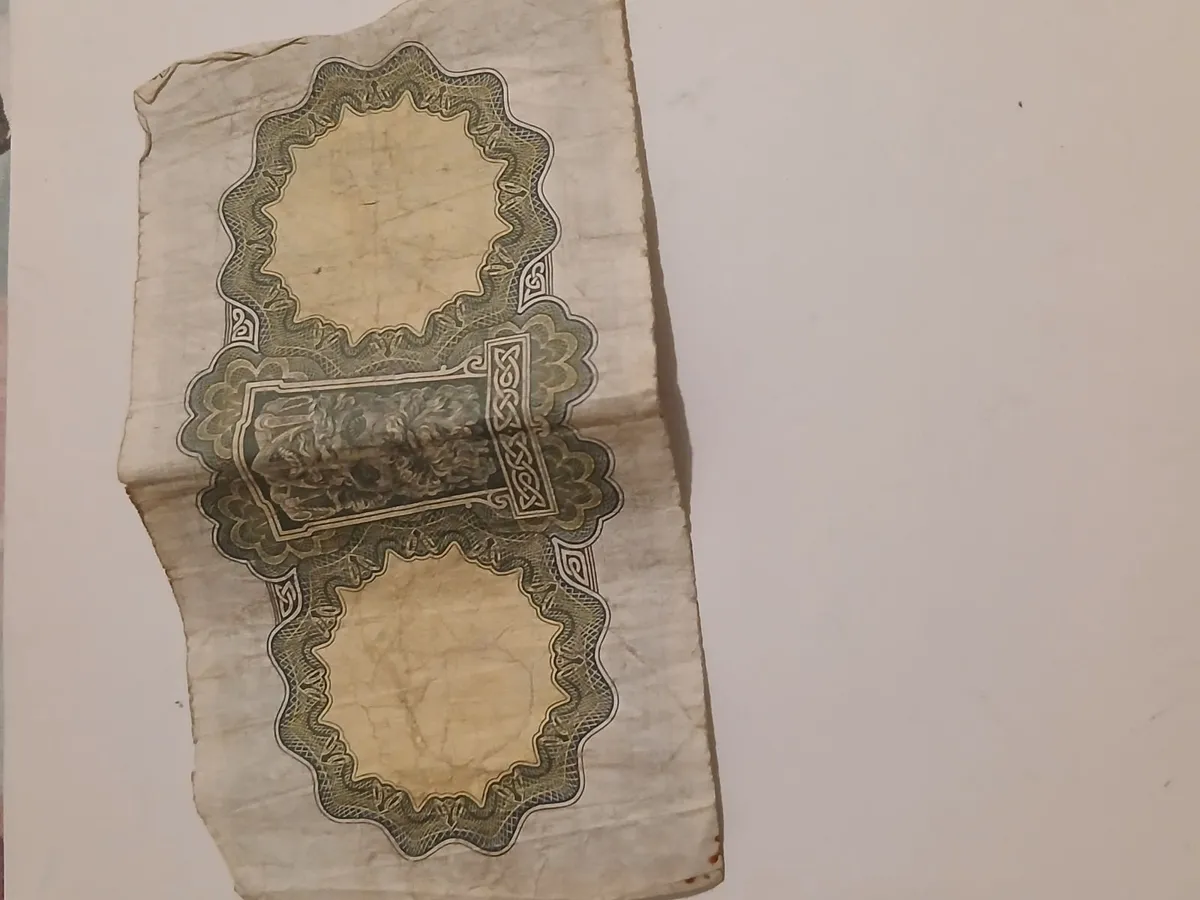 Irish punt - Image 2