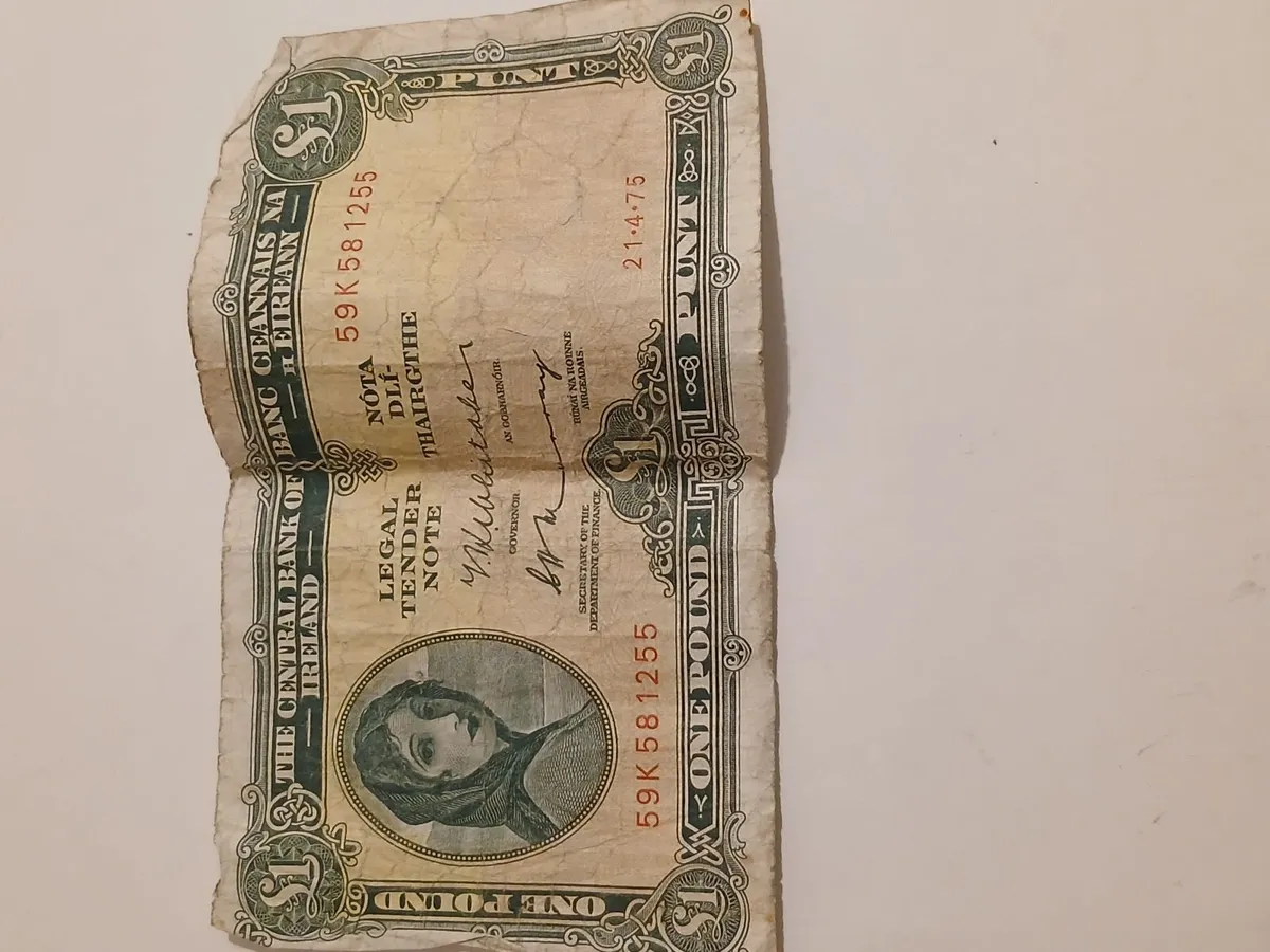 Irish punt - Image 1