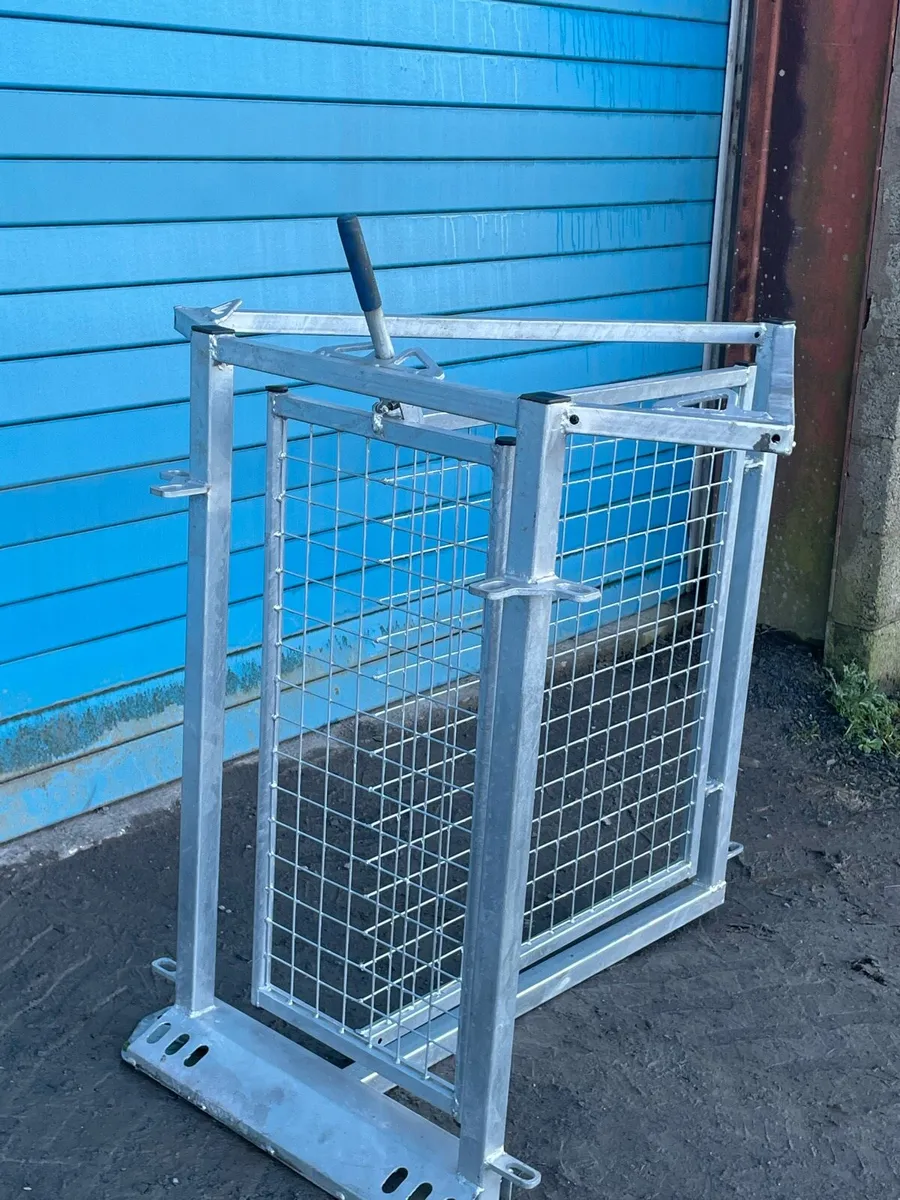 Calf Gates - Image 2