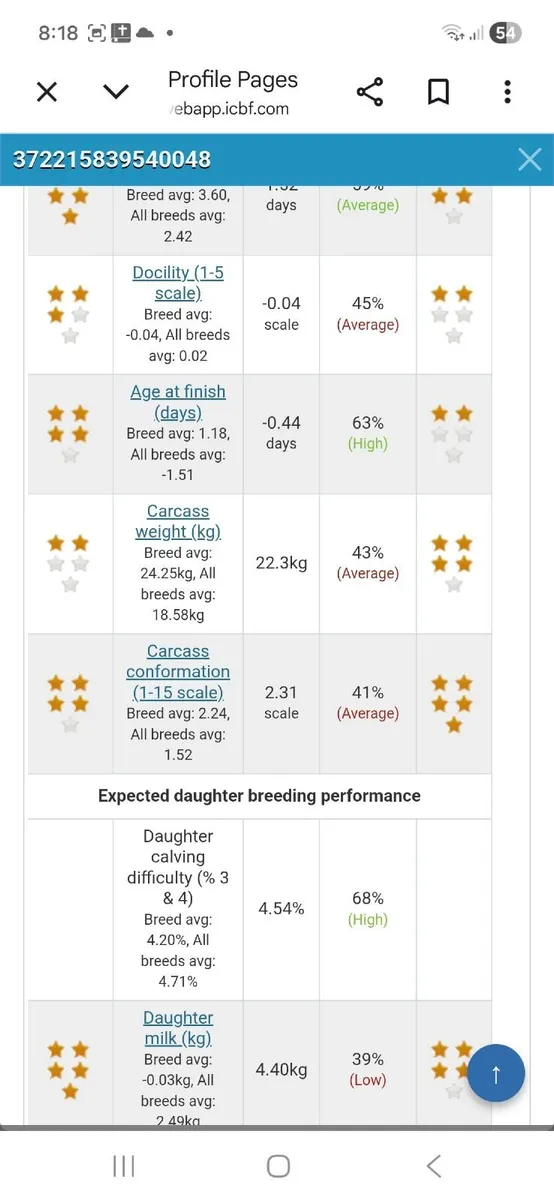 4 ⭐️PBR Bull - Image 3