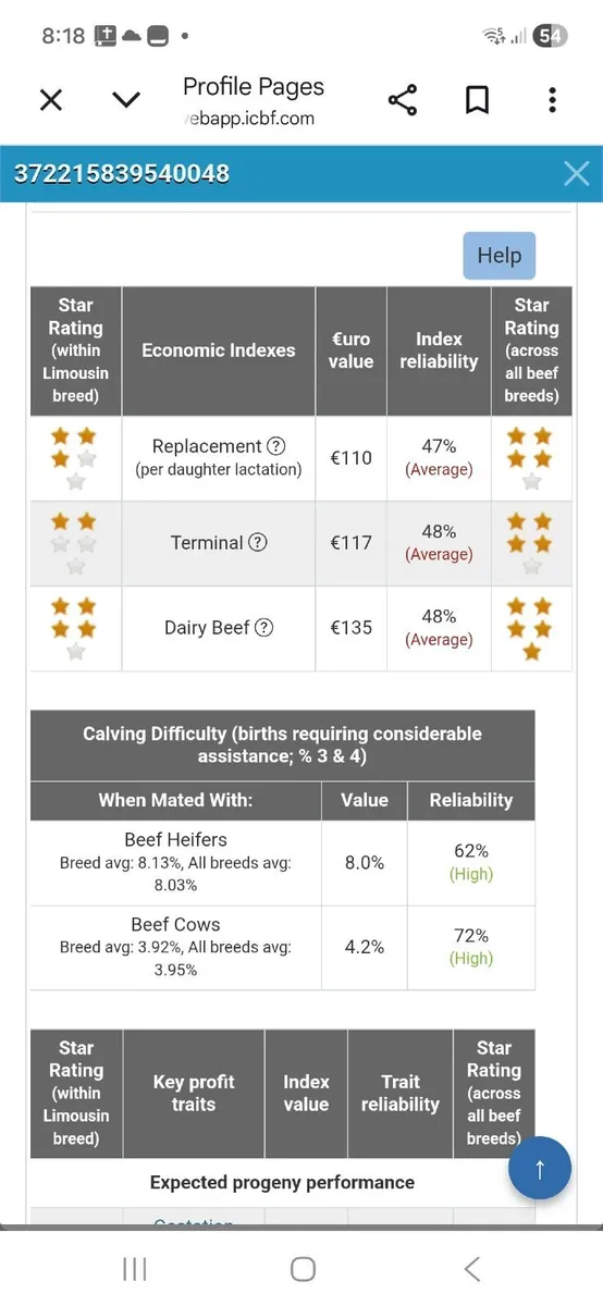 4 ⭐️PBR Bull - Image 4