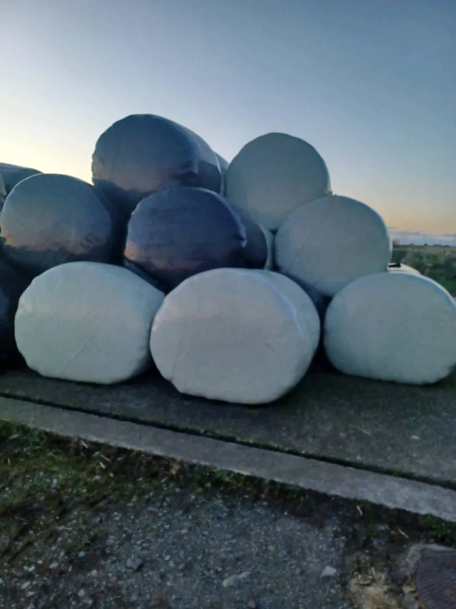 Silage for sale - Image 4