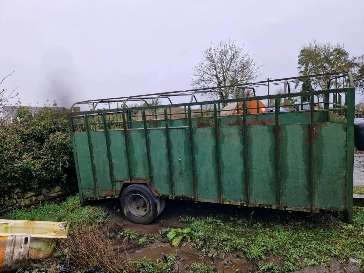 Cattle trailor - Image 1