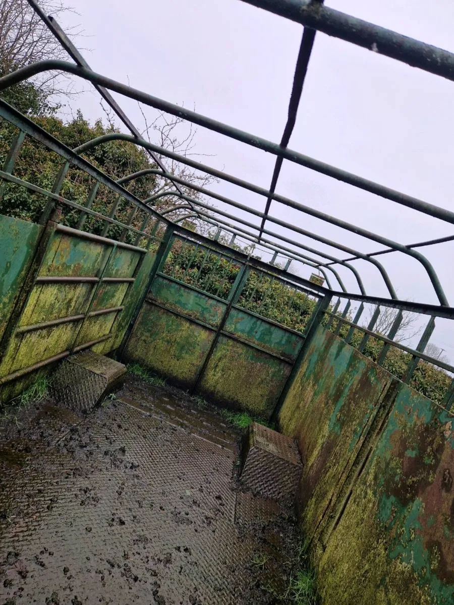 Cattle trailor - Image 3