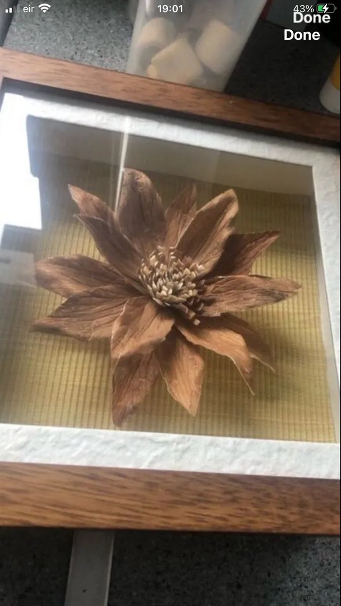 New picture €5 - Image 1