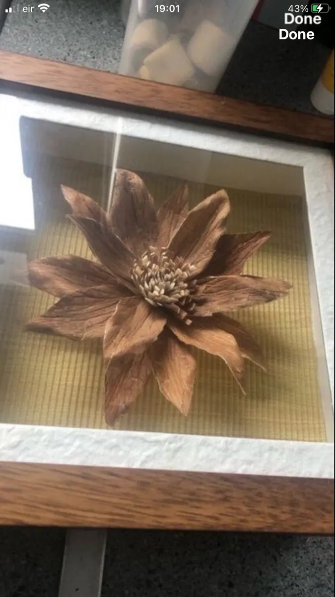 New picture €5 - Image 4