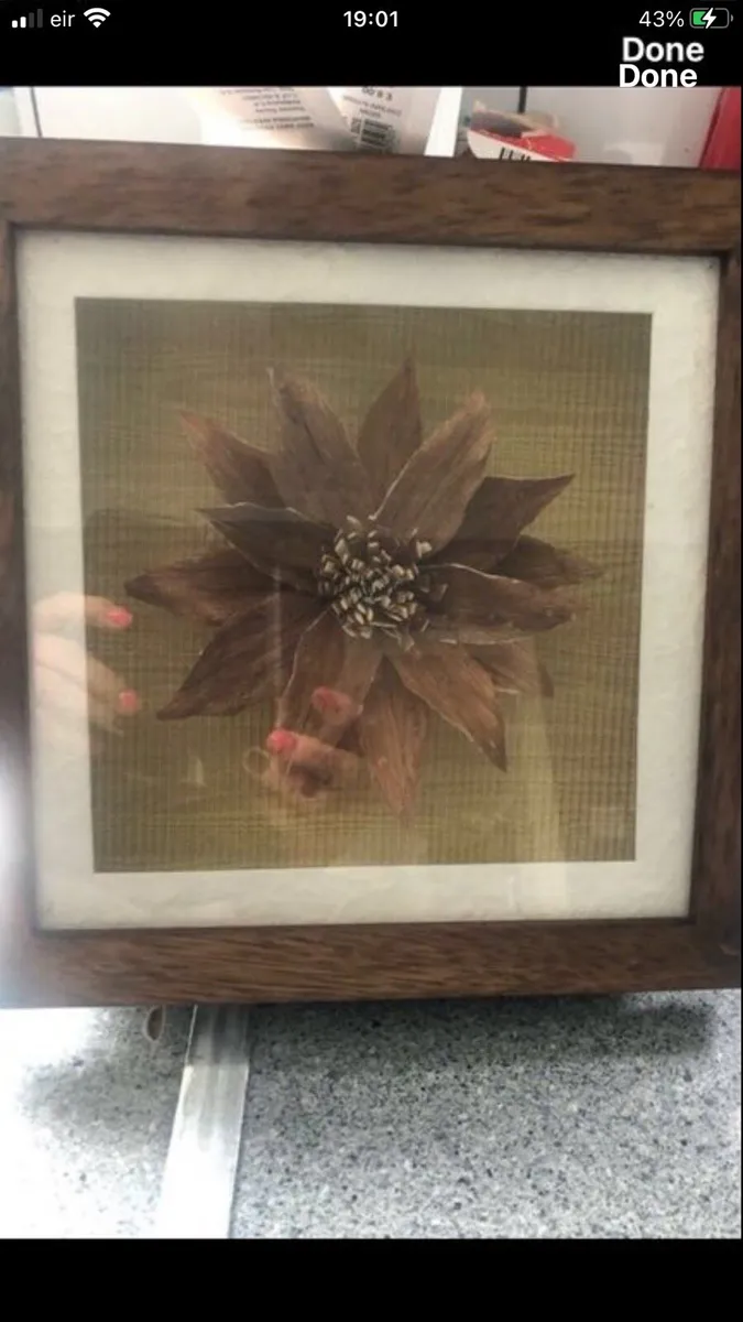 New picture €5 - Image 2