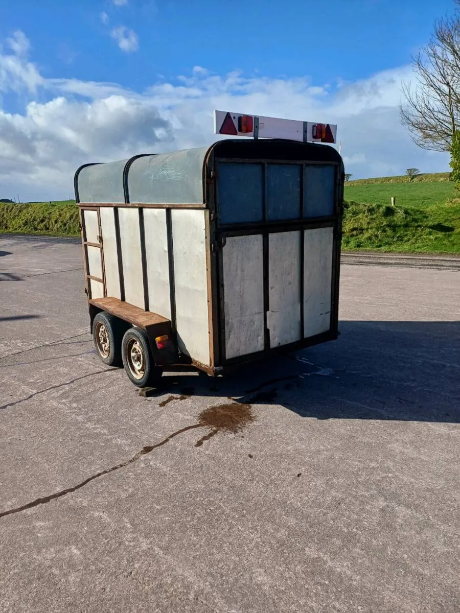 8x4 Twin Axle Cattle Box - Image 2