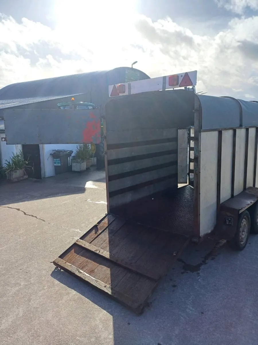8x4 Twin Axle Cattle Box - Image 4