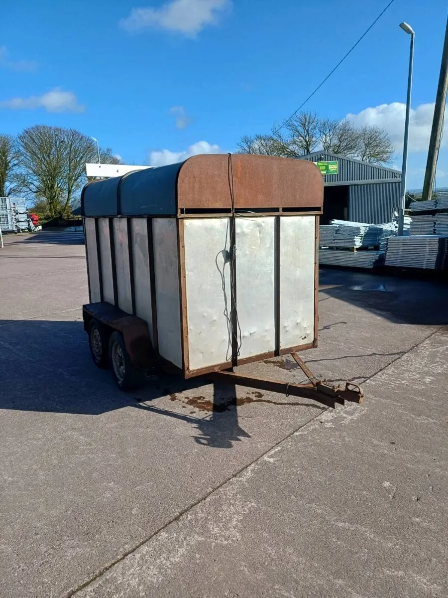 8x4 Twin Axle Cattle Box - Image 1