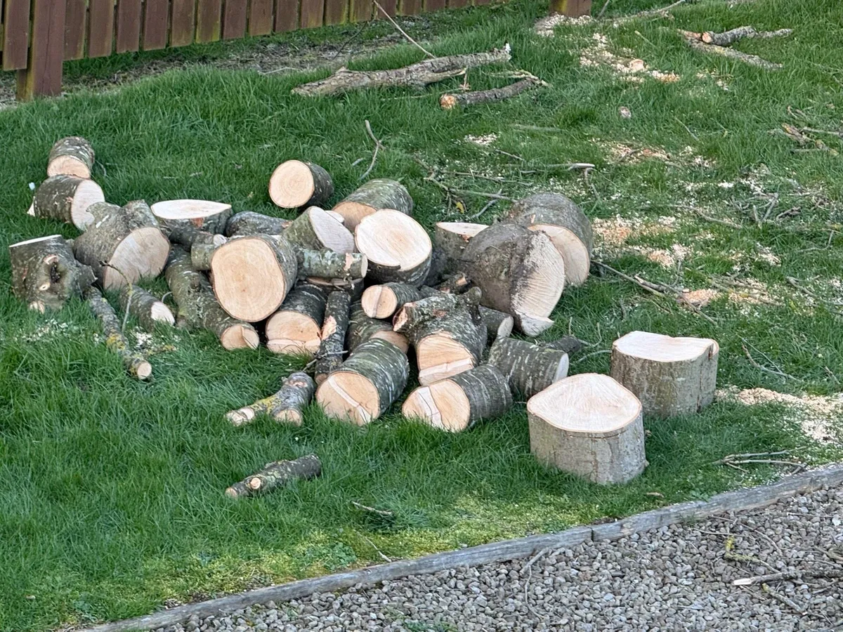 Firewood - Image 4