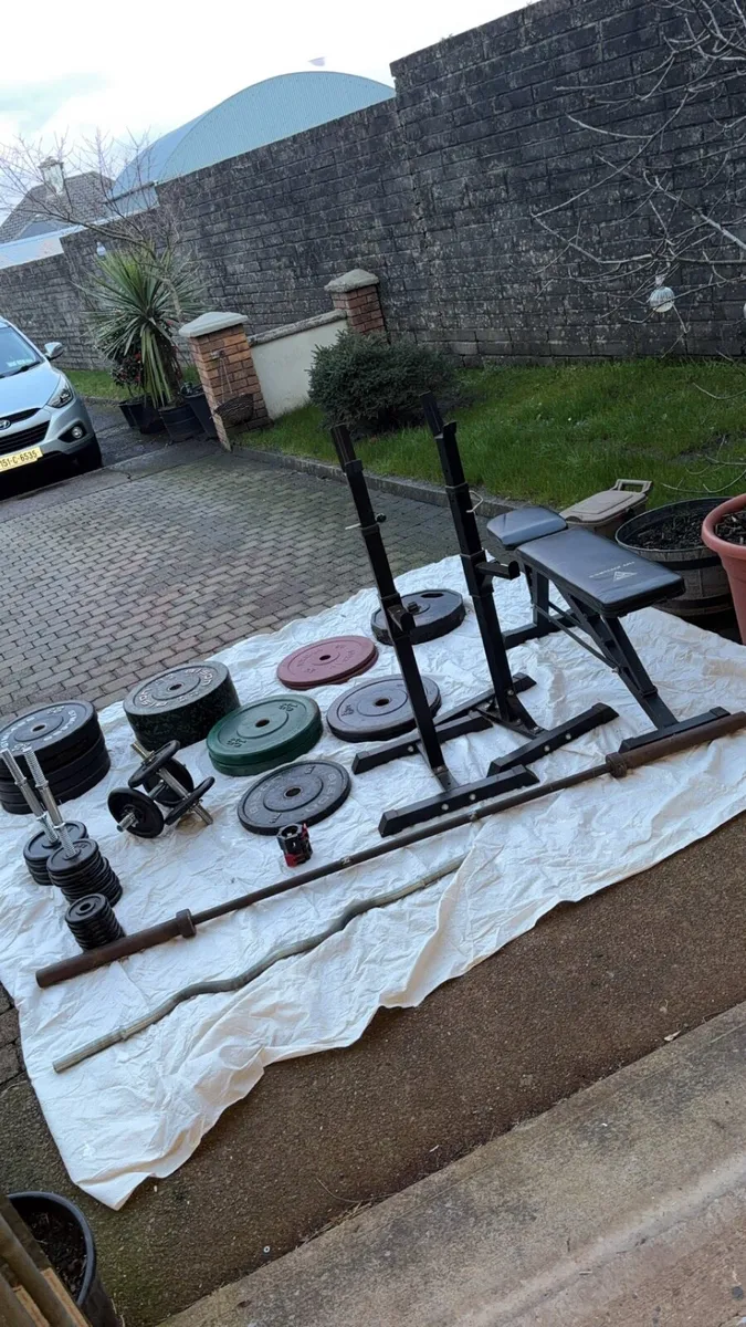 Gym weights - Image 1