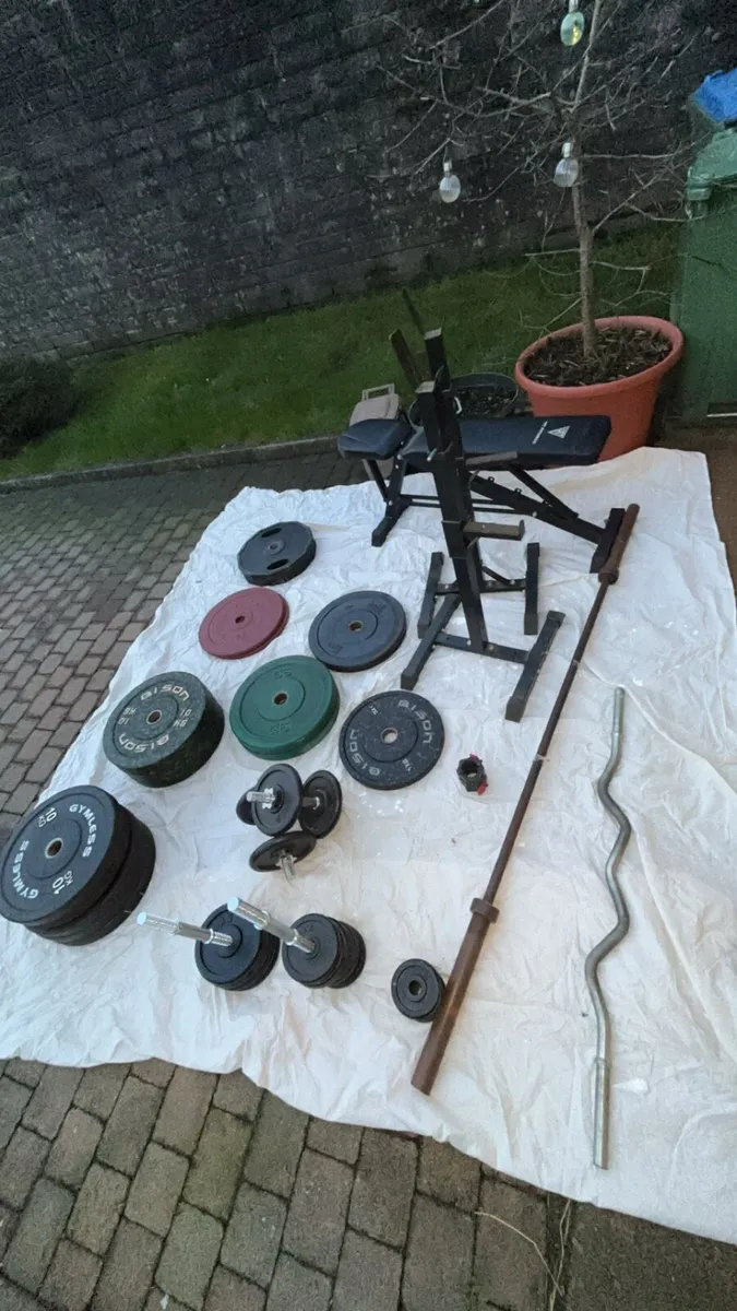 Gym weights - Image 2