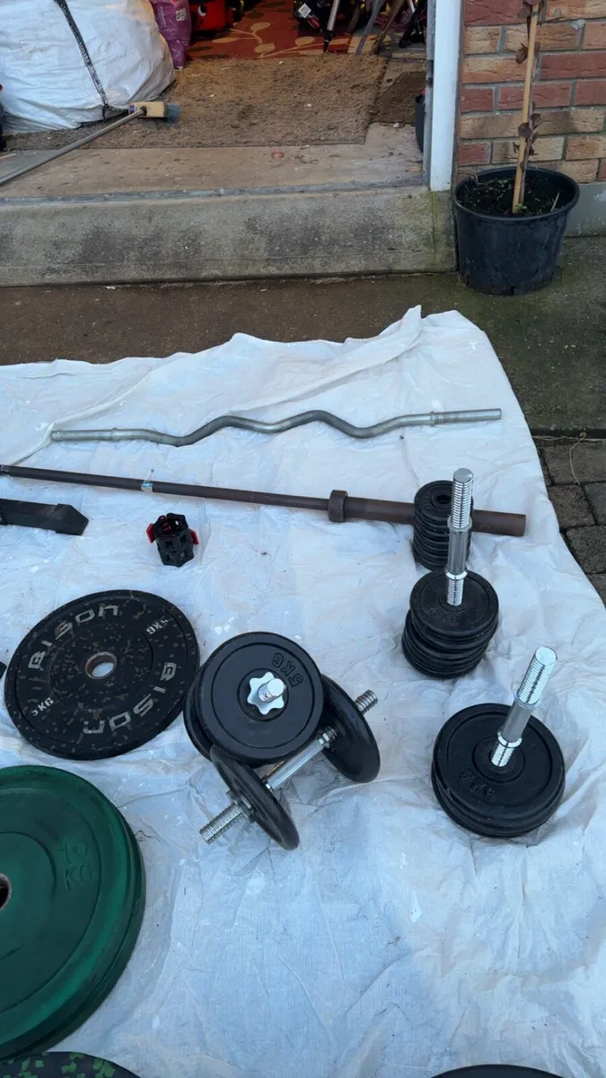 Gym weights - Image 3