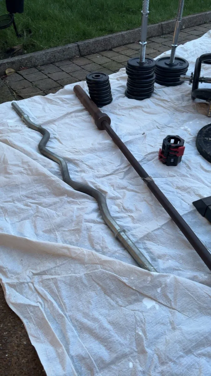 Gym weights - Image 4