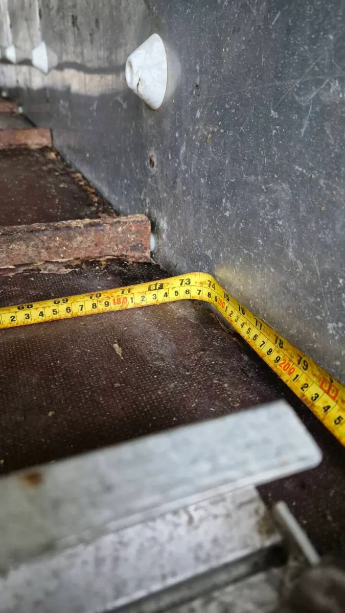 Sheep decks - Image 3