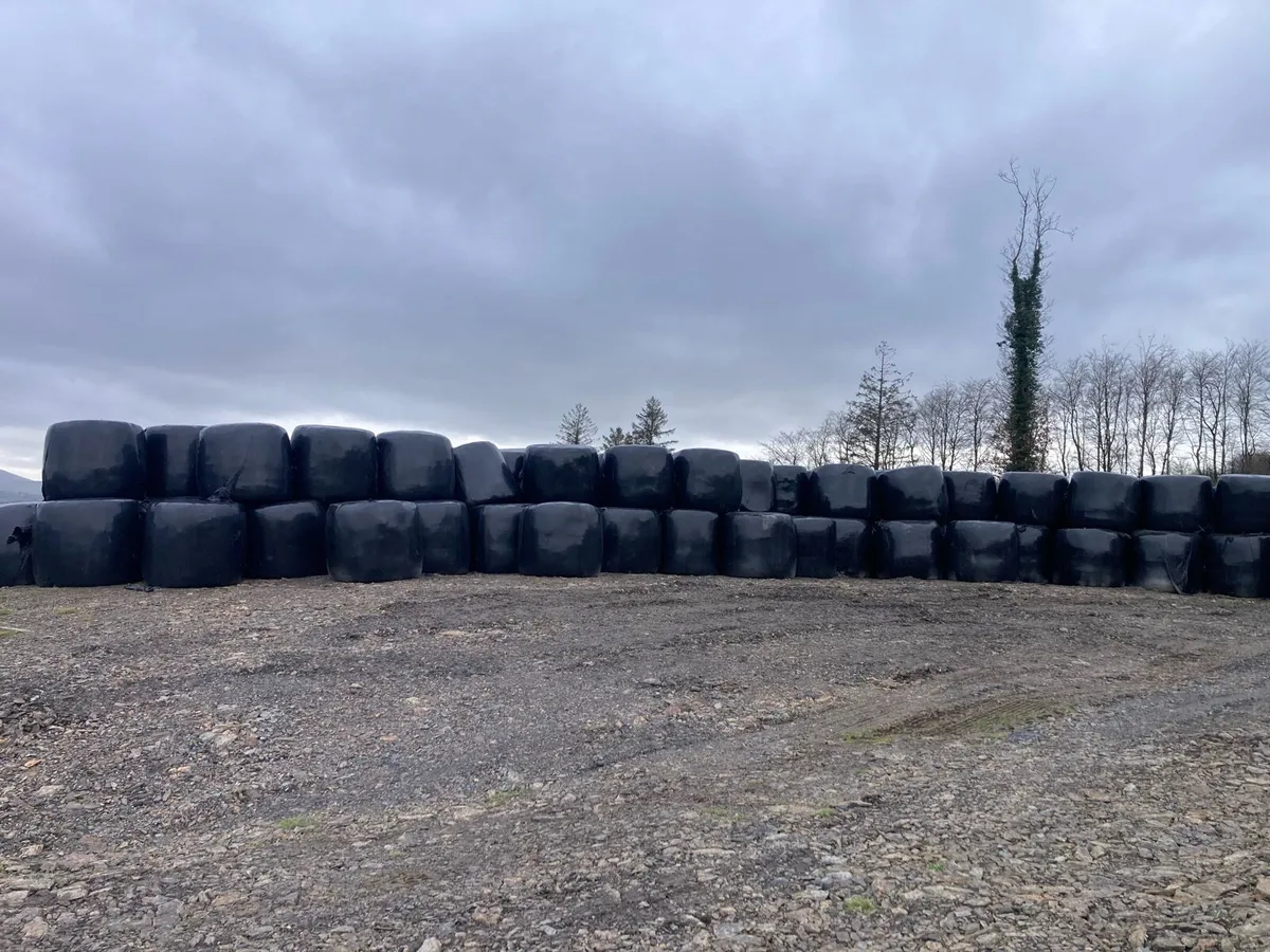 Silage bales