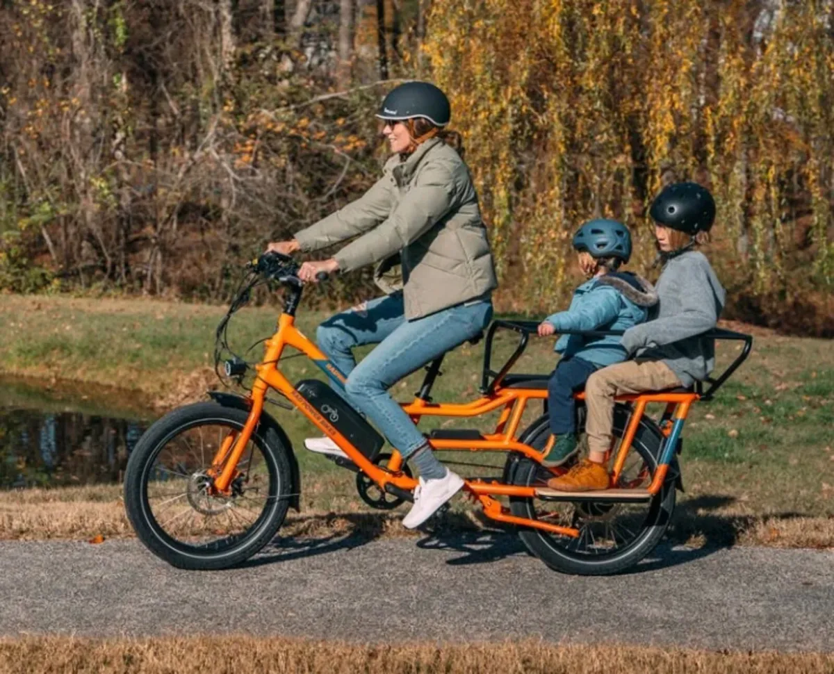 Electric Bike 3 seater (RadWagon) - Image 3