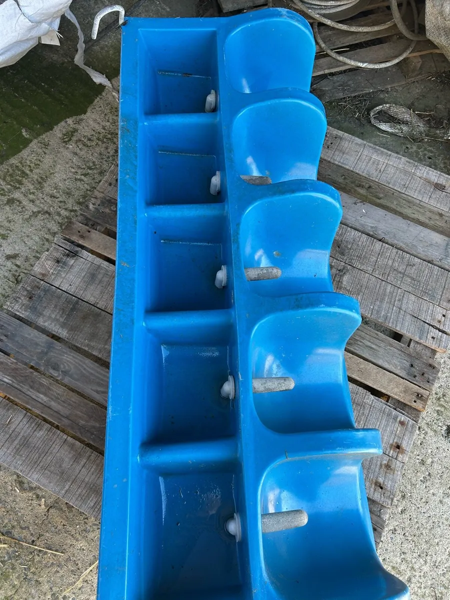 Calf feeders - Image 2