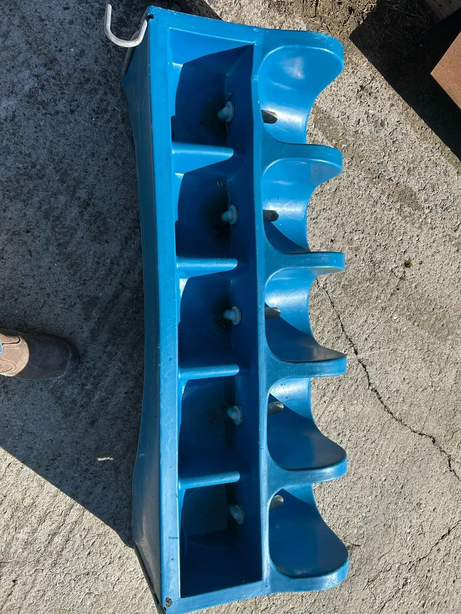 Calf feeders - Image 4