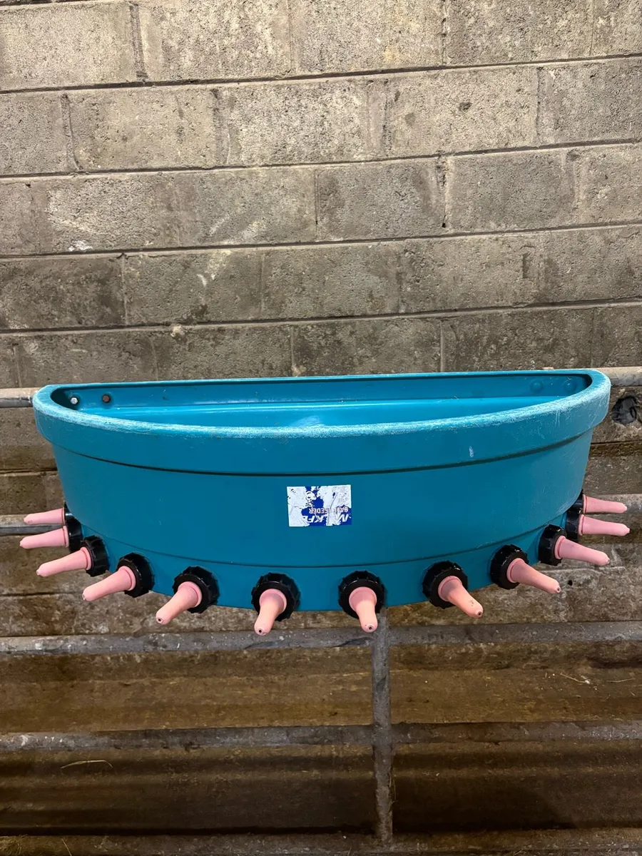 Calf feeder - Image 1