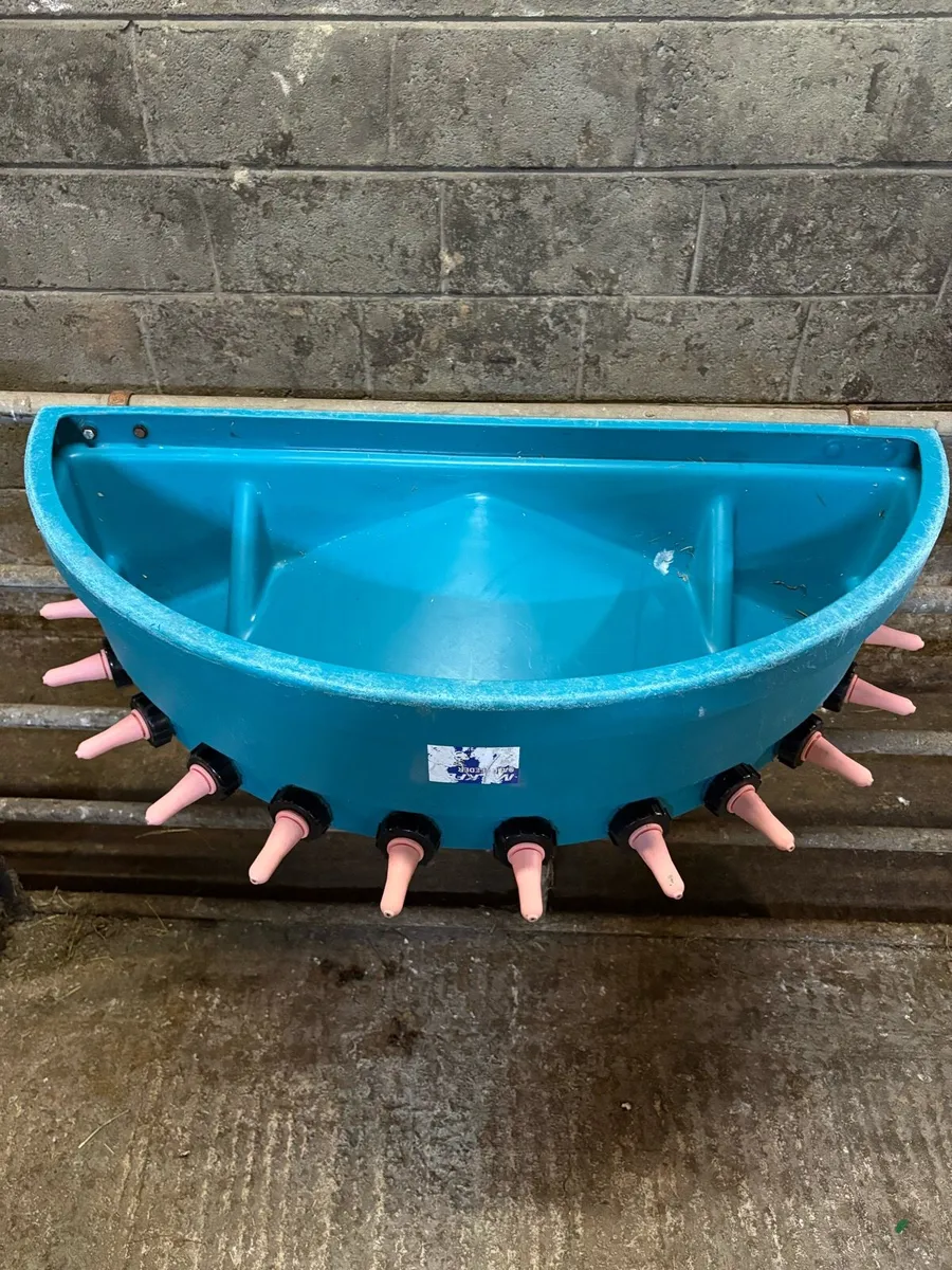 Calf feeder - Image 2