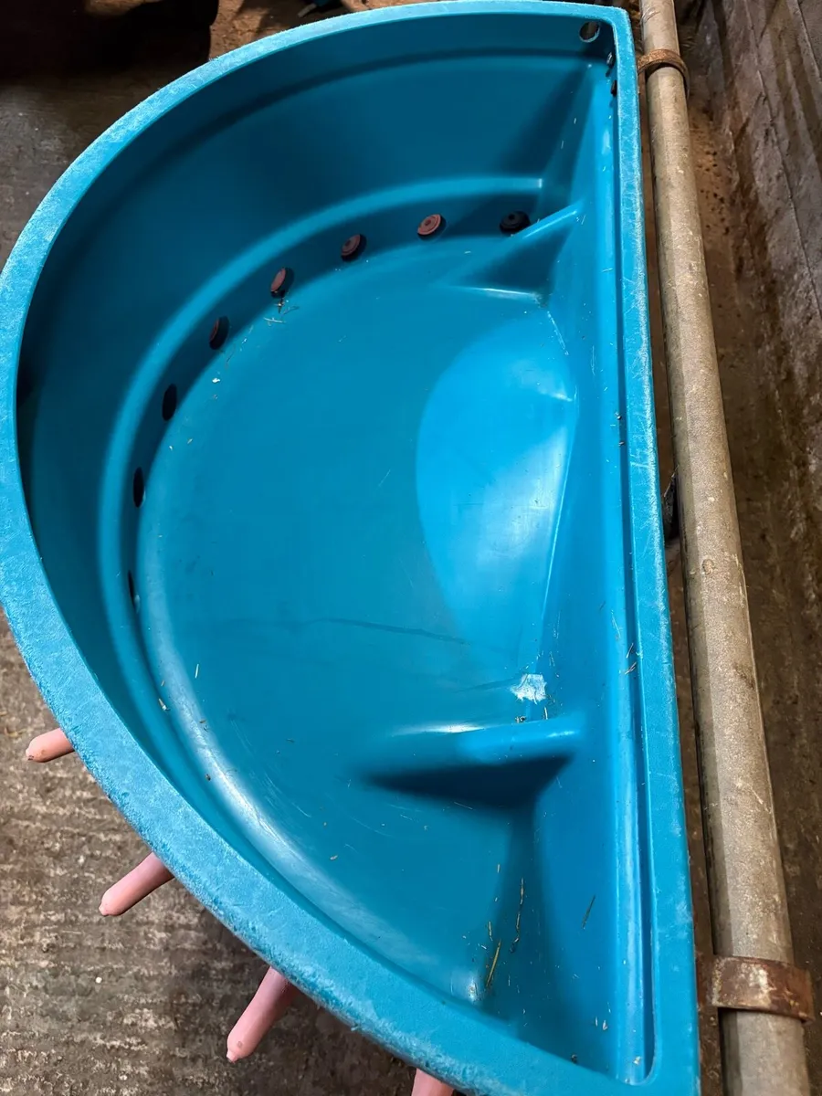 Calf feeder - Image 3