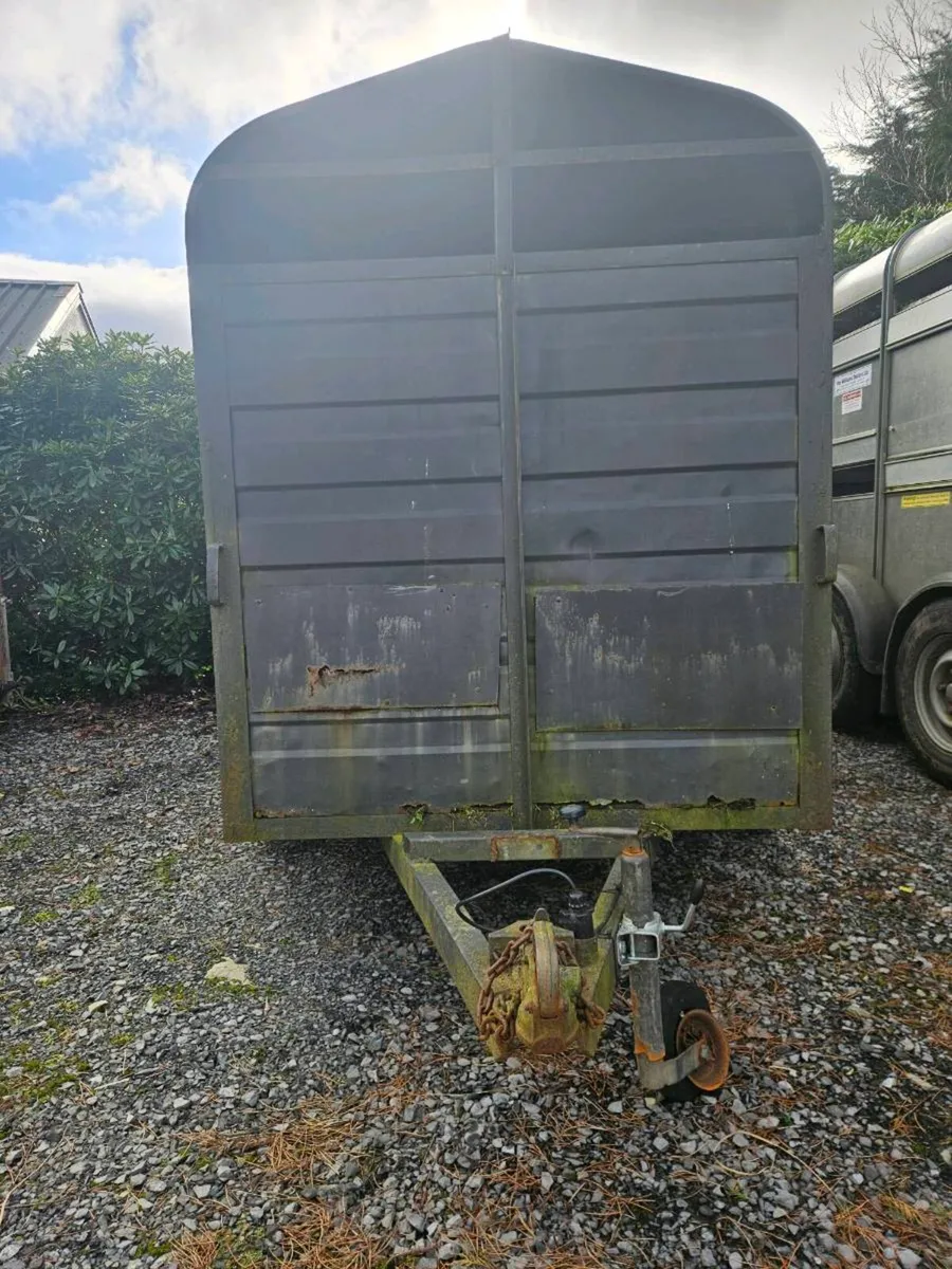 10x5 Williams trailer - Image 2