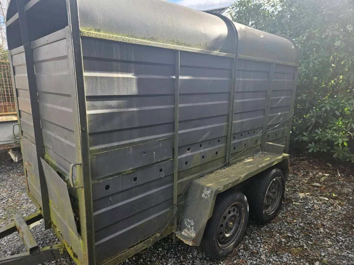 10x5 Williams trailer - Image 3