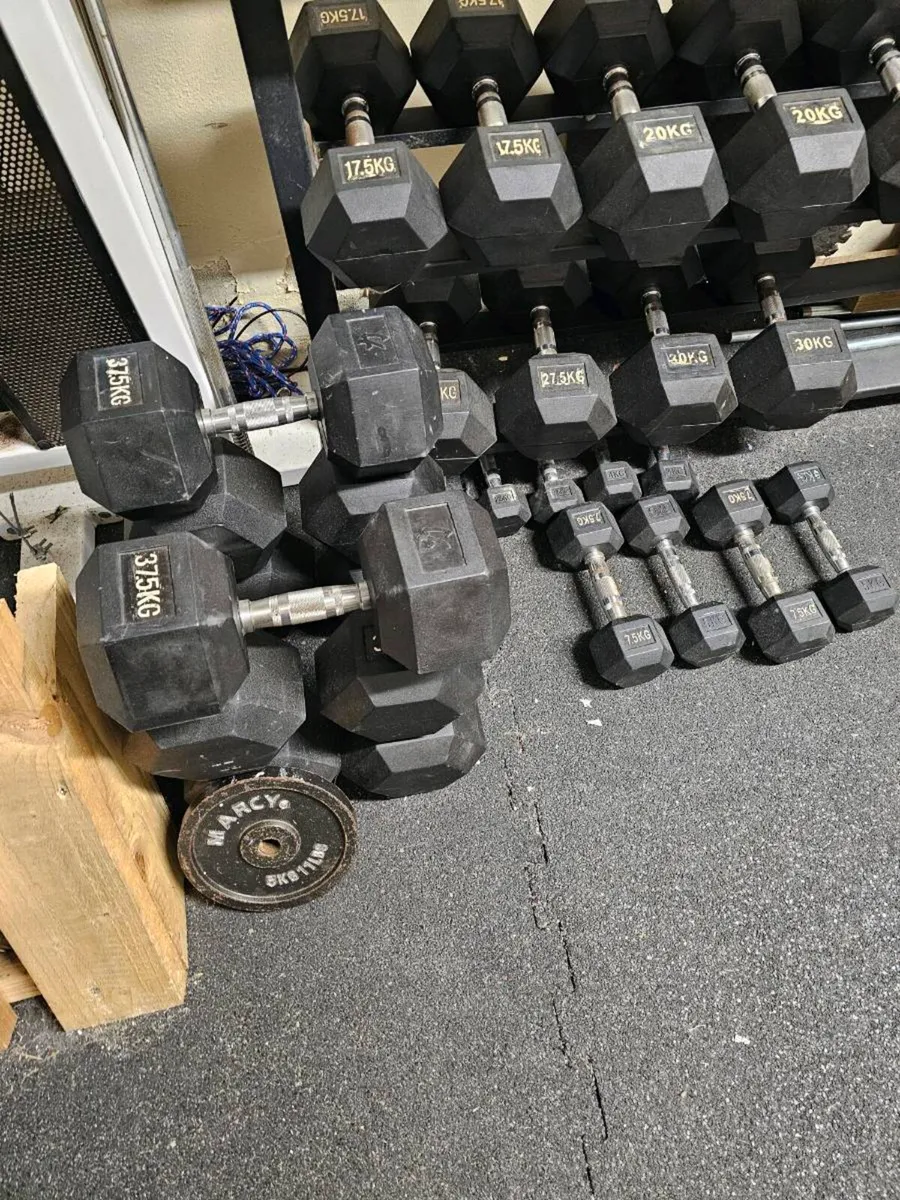 Hex dumbell set - Image 2