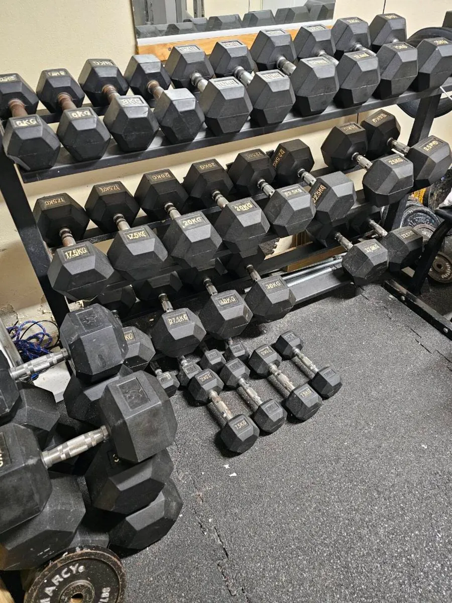 Hex dumbell set - Image 1