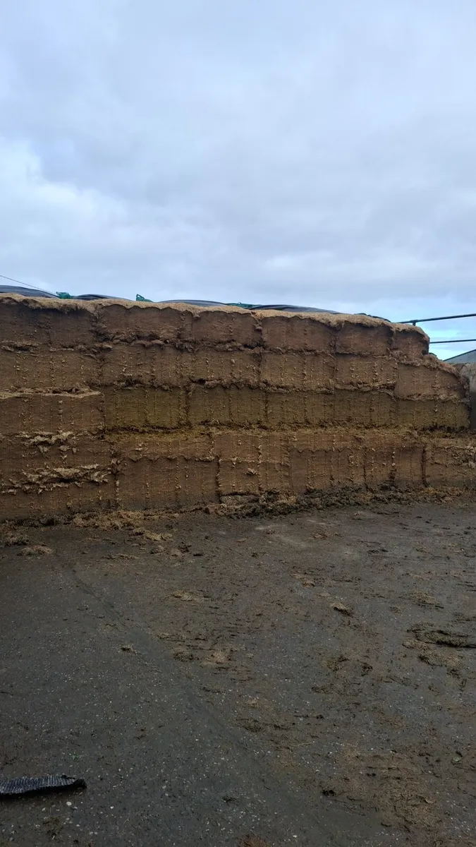 1st and 2nd cut Pit silage 2024 and 2025 - Image 1