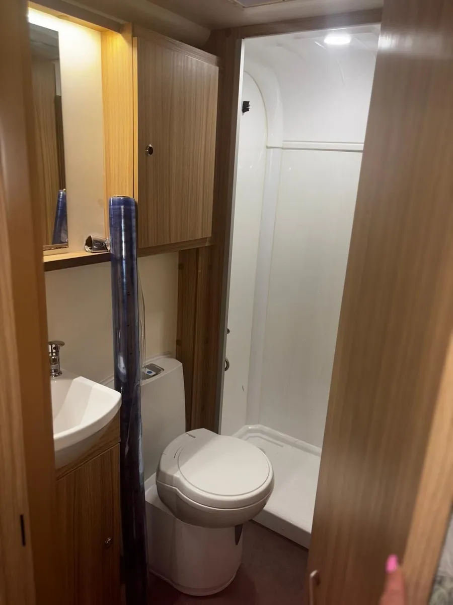 Bailey pegagsus - Image 2