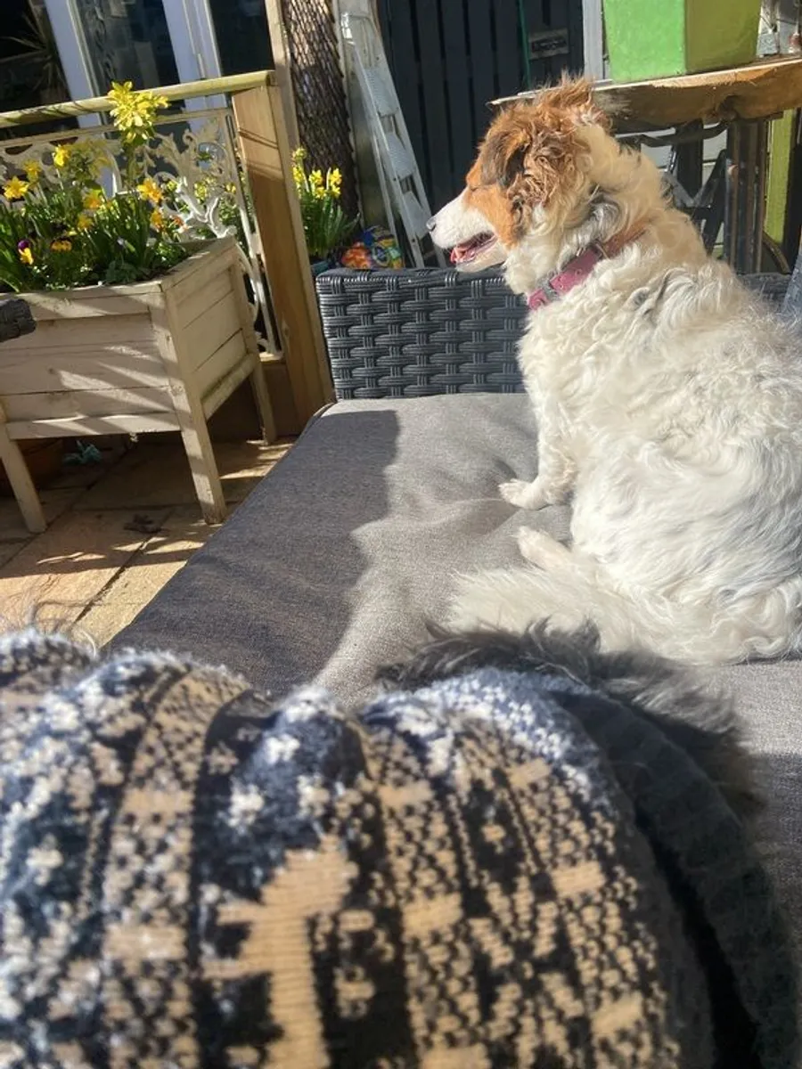 Garden Bench ends - Image 2