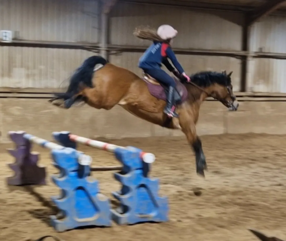 Flashy allrounder - Image 2