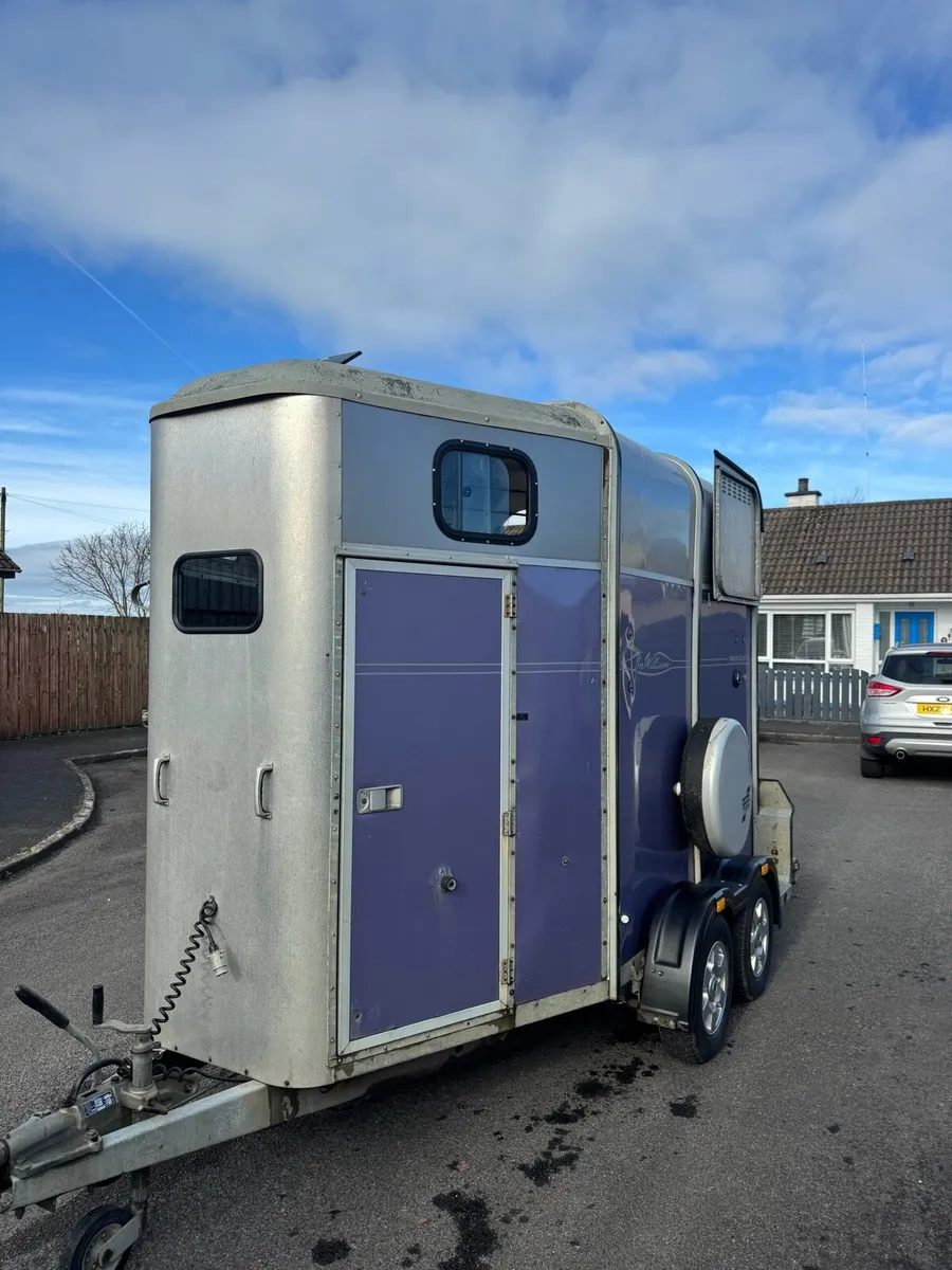 Ifor William 505 Classic Limited Edition - Image 2